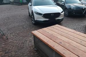 Mazda cx30 e skyactiv g