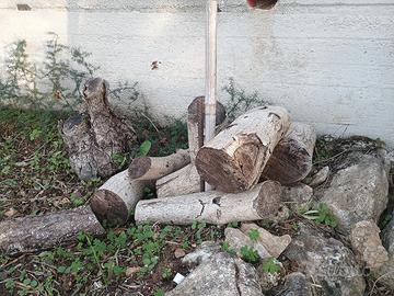 Legna da ardere per camini e stufe