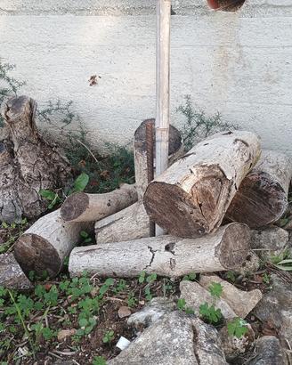 Legna da ardere per camini e stufe