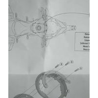 flancia  serbatoio per attacco borsa