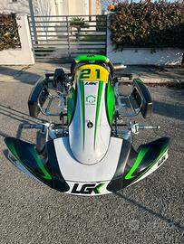 Telaio mini LGK by Birel