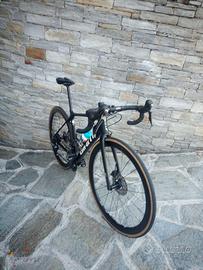 Giant TCR tg S