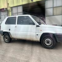 Fiat panda young