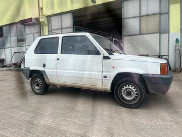 Fiat panda young