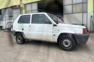 Fiat panda young