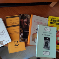 Shantaram, siddharta, Shakespeare, Schopenhauer,