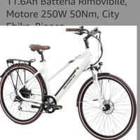bici elettrica 
