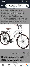bici elettrica 