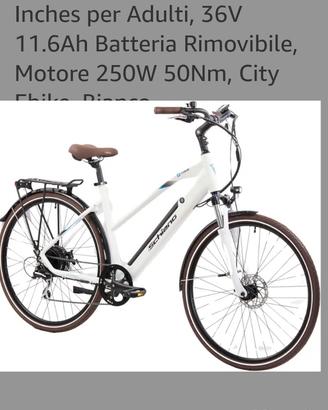 bici elettrica 