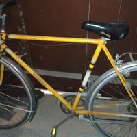 bici uomo / donna 