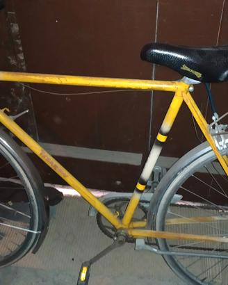 bici uomo / donna 