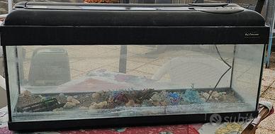 Acquario 120 litri
