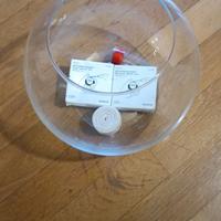 boccia di vetro utilizzata per pesce rosso