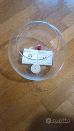 boccia di vetro utilizzata per pesce rosso