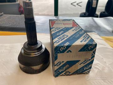 5998706 GIUNTO OMOCINETICO