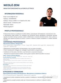Cameriere o barman, elettricista cameriere