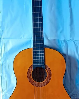 Chitarra acustica Florencia