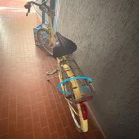 Bici da donna