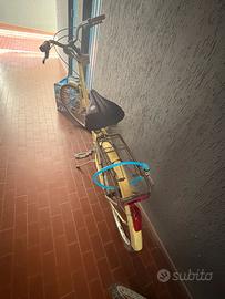 Bici da donna