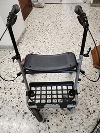Carrello deambulatore