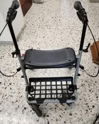 Carrello deambulatore