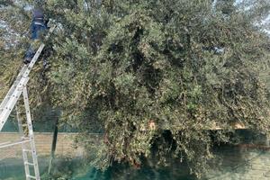 Terreno fronte strada 1900mq