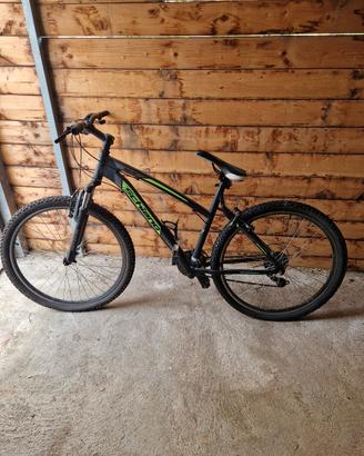 bici MTB schiano 
