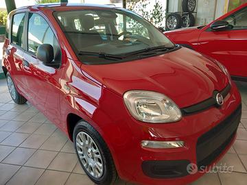 FIAT Panda 1.0 FireFly S&S Hybrid x Neopatenteti