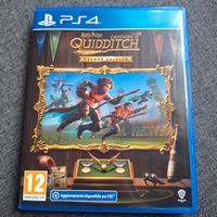 harry potter CAMPIONI DI QUIDDITCH