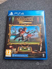 harry potter CAMPIONI DI QUIDDITCH