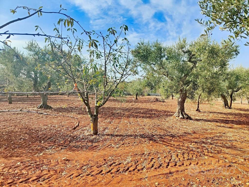 Rustico / Casale di 27 m² con 1 locale a Putignano - Vista 3