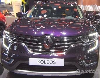 Ricambi renault koleos-captur-clio-megane-scenic