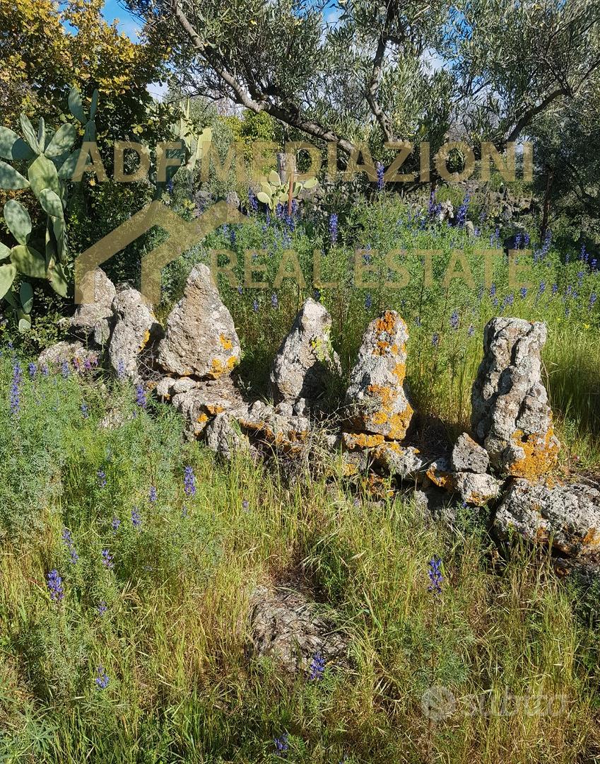 Terreno Con Piccolo Rudere Accatastato - Vista 5
