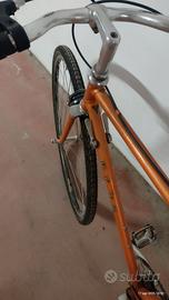 bici sportiva da città 