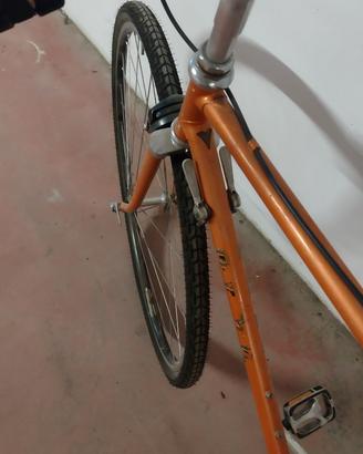 bici sportiva da città 