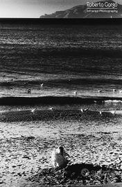 Fotografia Infrarosso Liguria Sestri Levante 21X30