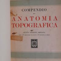 Compendio Anatomia Topografica