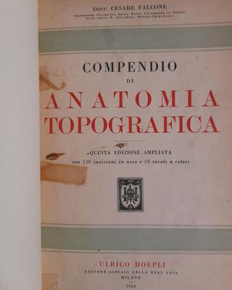Compendio Anatomia Topografica