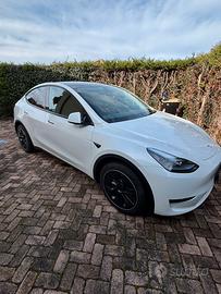 Tesla Model Y  RWD
