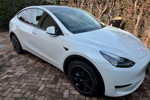 Tesla Model Y  RWD