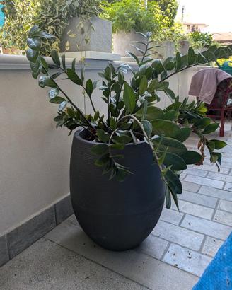 Grande vaso in resina plastica 