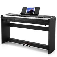 Echord SP10 