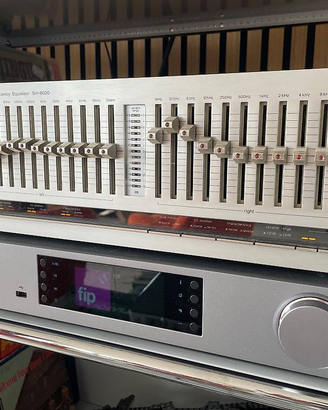 Technics SH-8020