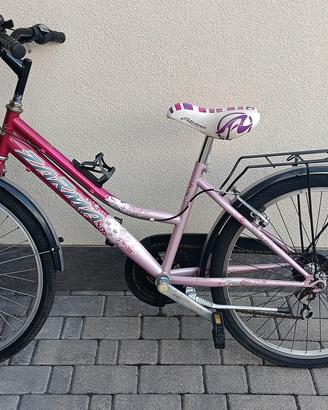 Bicicletta raggio 24 cambio Shimano 