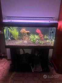 Plafoniera per Acquario