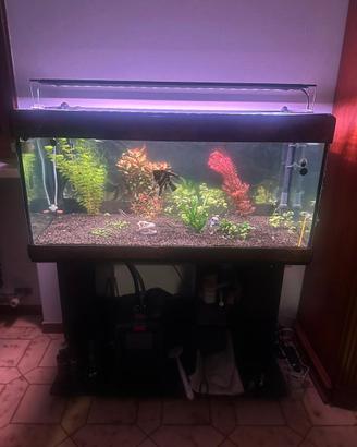 Plafoniera per Acquario