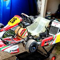 Kart 125 2t Rotax DD2