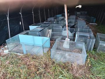 acquari varie dimensioni 