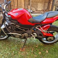 Mv Agusta Brutale 910s 