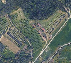 Immobile in asta di 10679 m² a Moncalvo